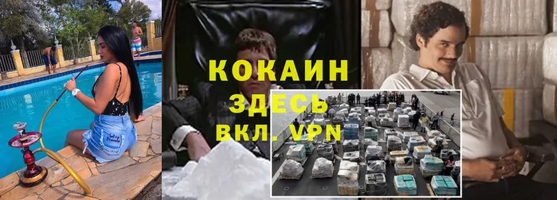 наркота  Шелехов  KRAKEN ССЫЛКА  Cocaine Эквадор 